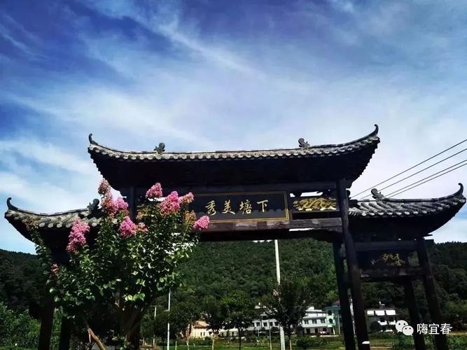 宜春秘境 水中荷花、山中奇石与禾雀花，这个小村庄凭什么名声鹊起？